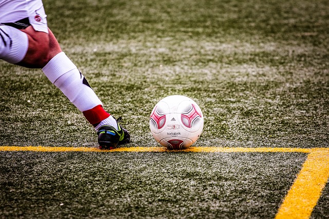 了明显的心 了明显的心