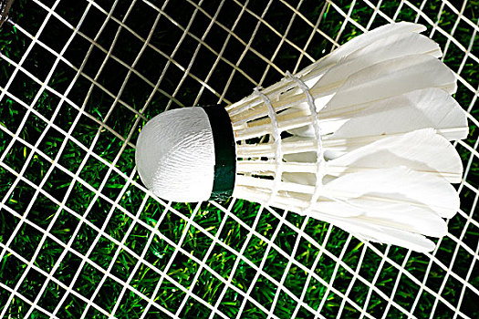 而新疆小伙 而新疆小伙